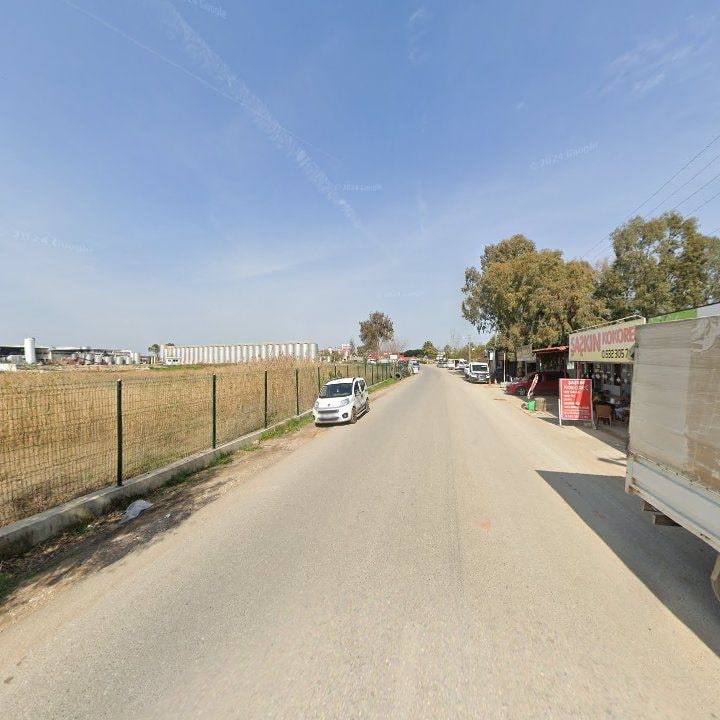 Fotoğraf 8