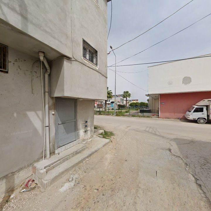 Fotoğraf 3