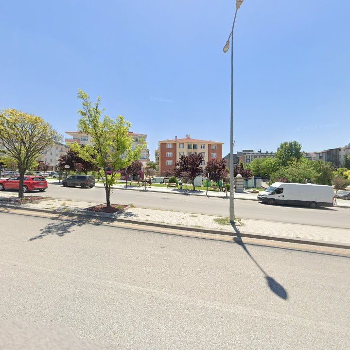 Fotoğraf 8