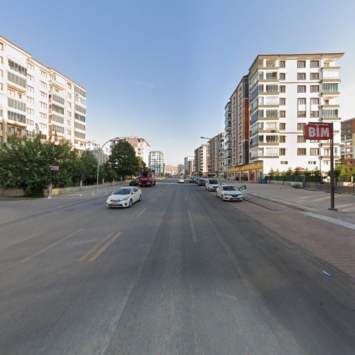 Fotoğraf 10