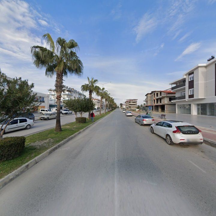 Fotoğraf 7