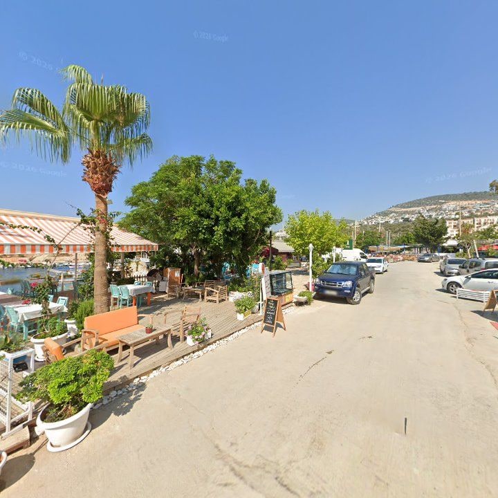 Fotoğraf 11