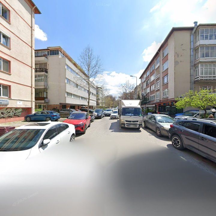 Fotoğraf 10