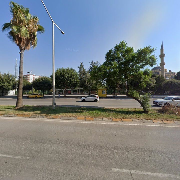 Fotoğraf 10