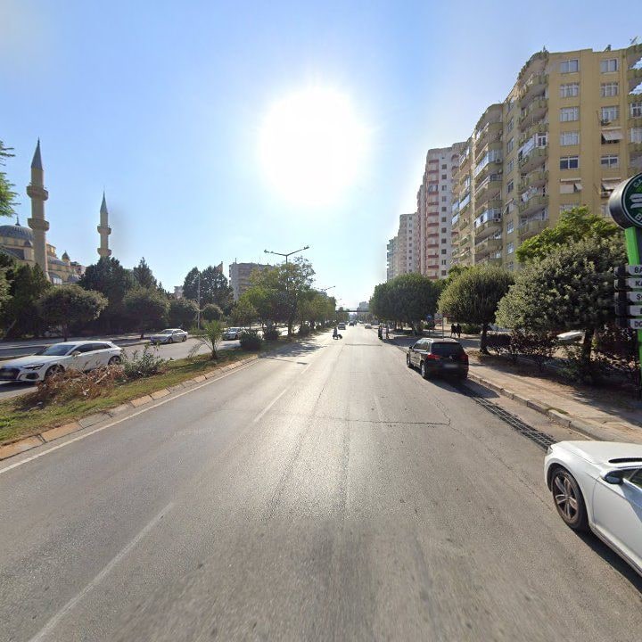 Fotoğraf 11