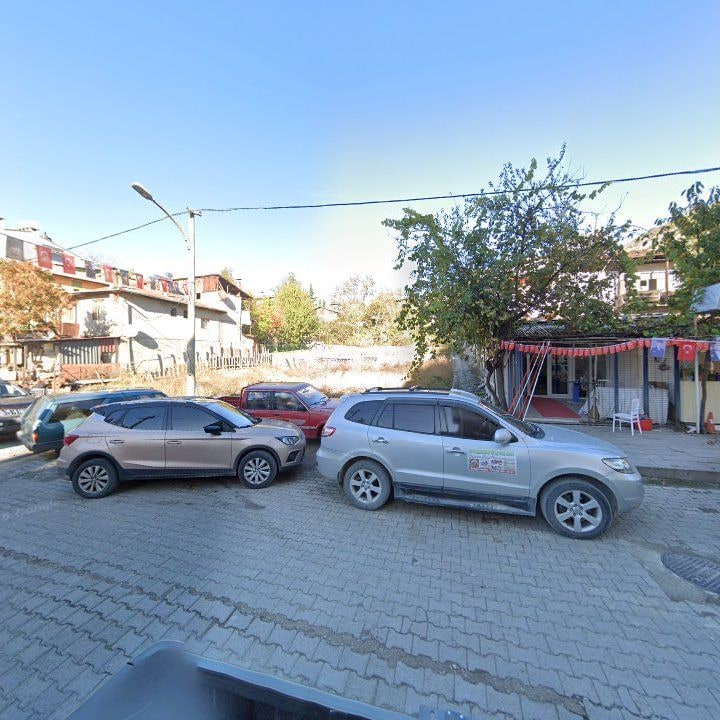 Fotoğraf 7