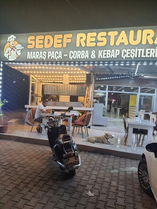 Fotoğraf 6