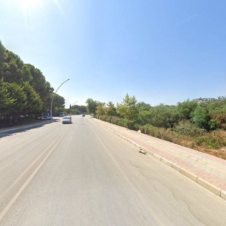 Fotoğraf 10
