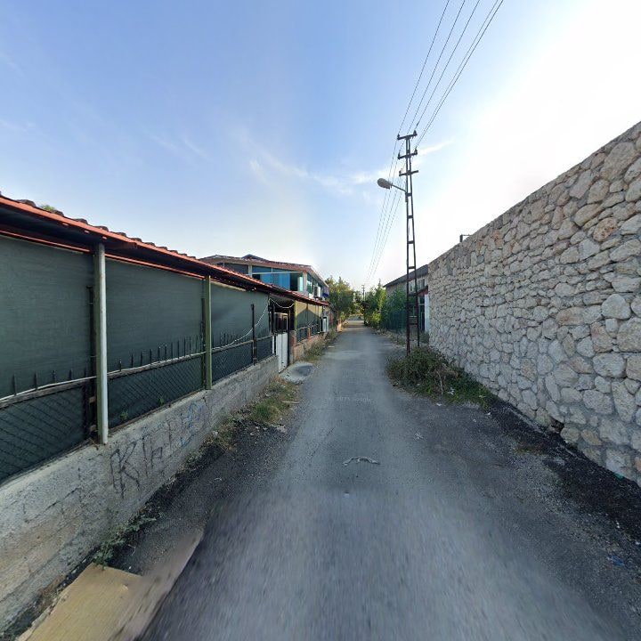 Fotoğraf 10