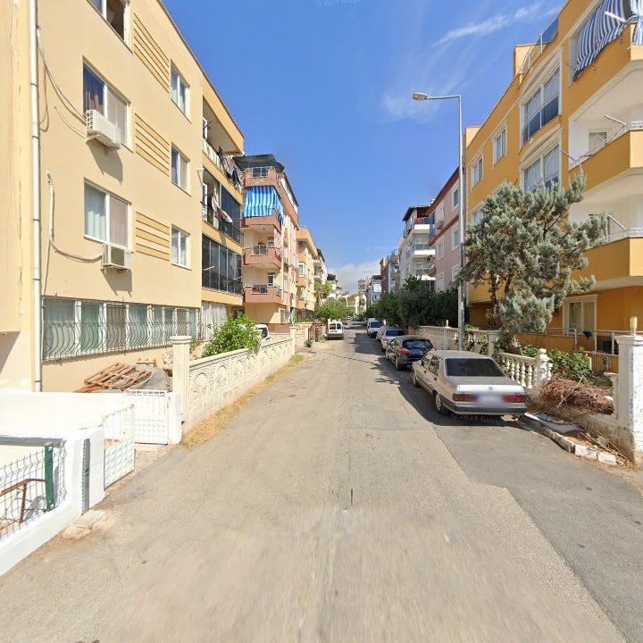 Fotoğraf 7