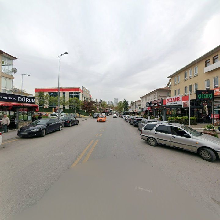 Fotoğraf 7