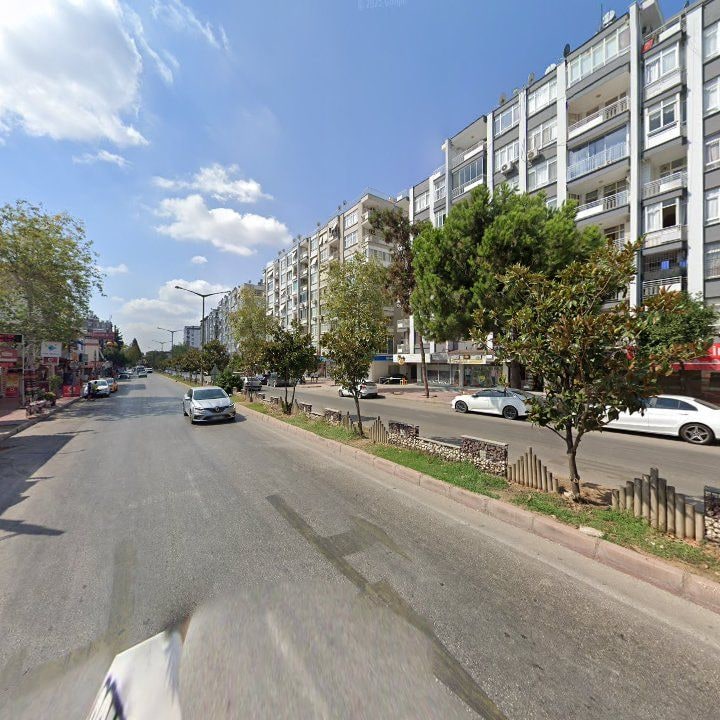 Fotoğraf 10