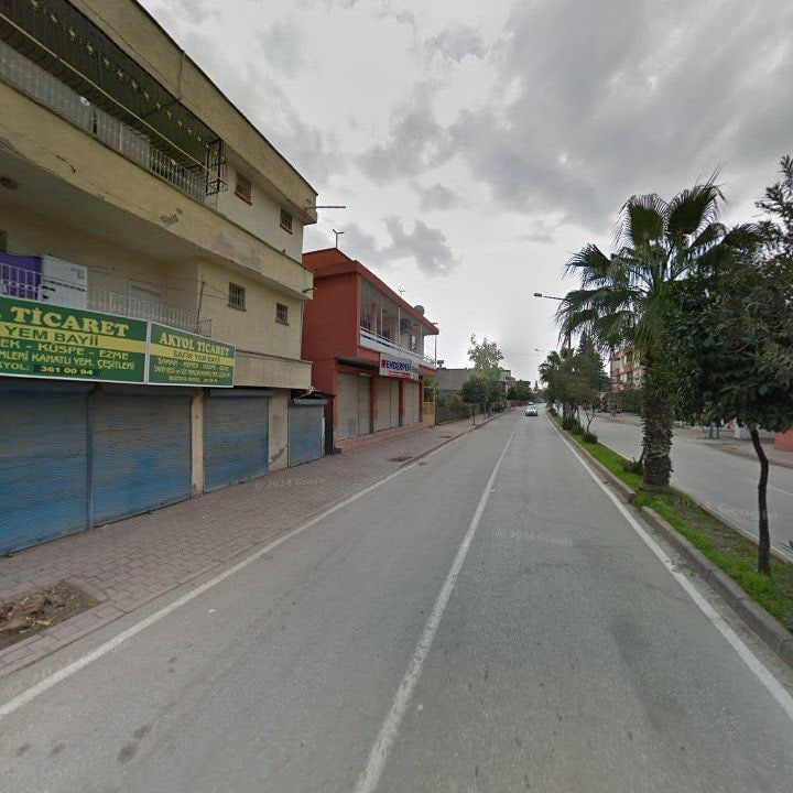 Fotoğraf 8