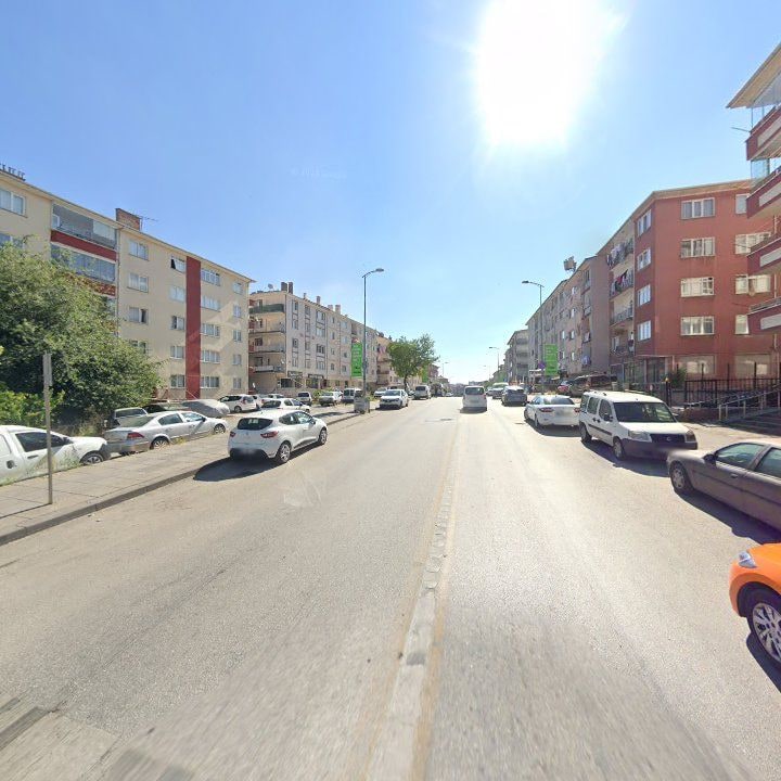 Fotoğraf 10