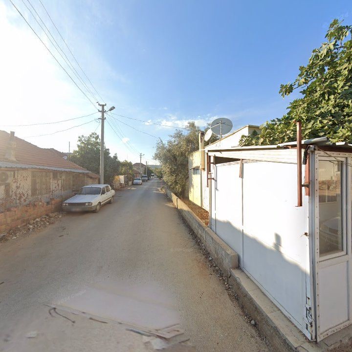 Fotoğraf 6