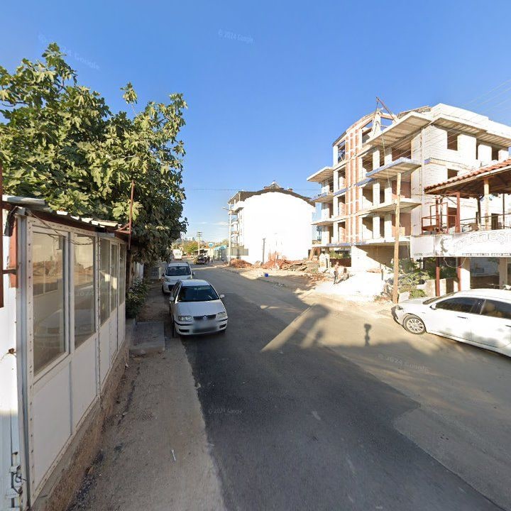 Fotoğraf 7