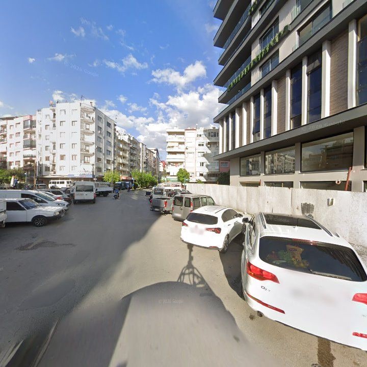 Fotoğraf 12
