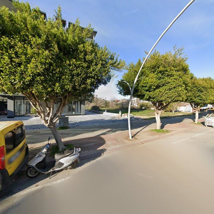 Fotoğraf 10