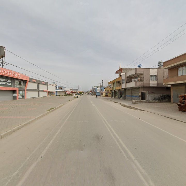 Fotoğraf 11
