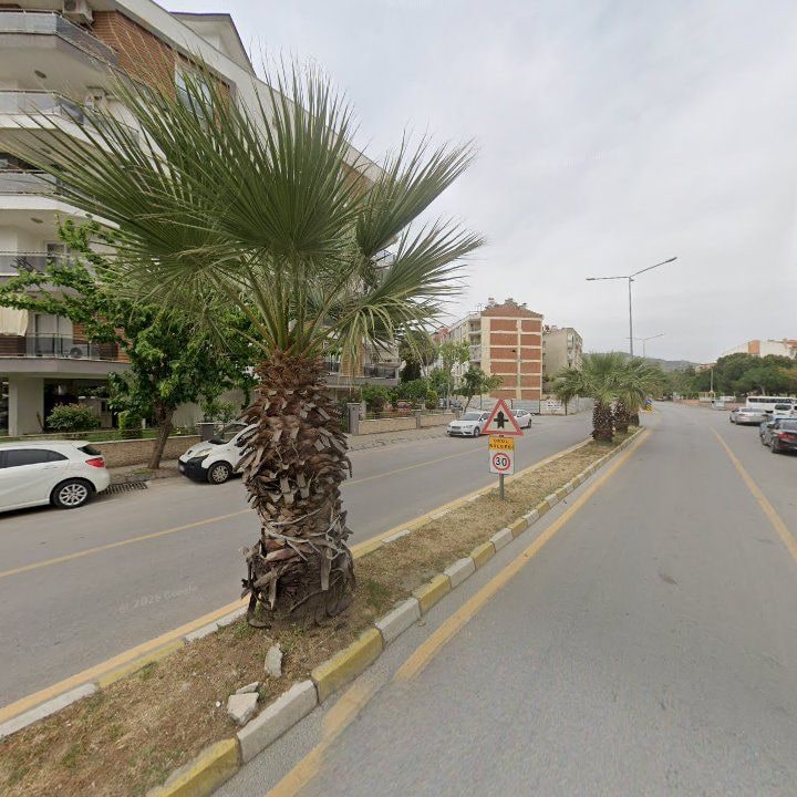 Fotoğraf 10