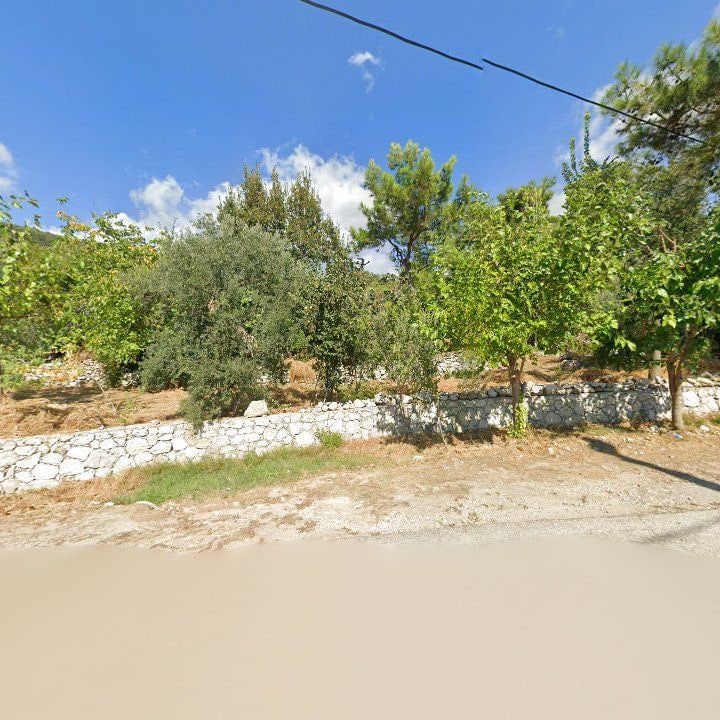 Fotoğraf 10