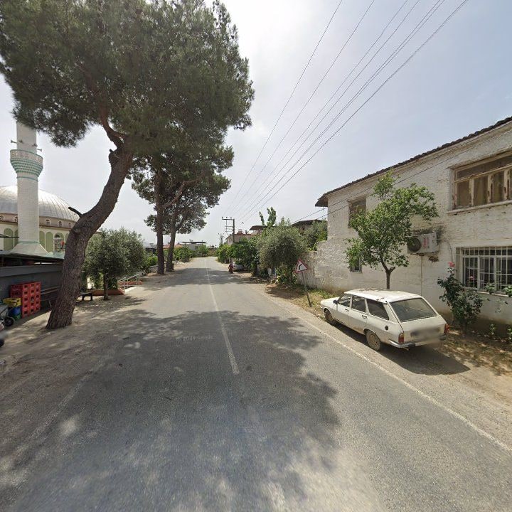 Fotoğraf 3