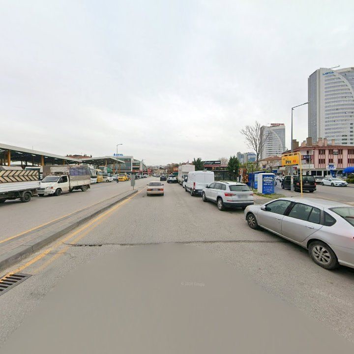 Fotoğraf 10