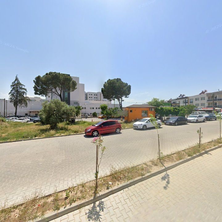 Fotoğraf 5