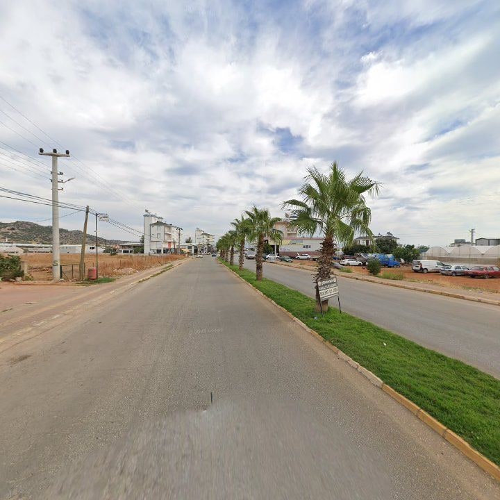 Fotoğraf 3