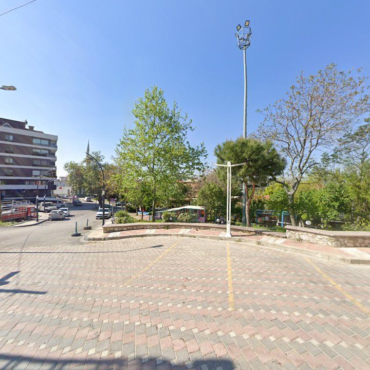 Fotoğraf 10