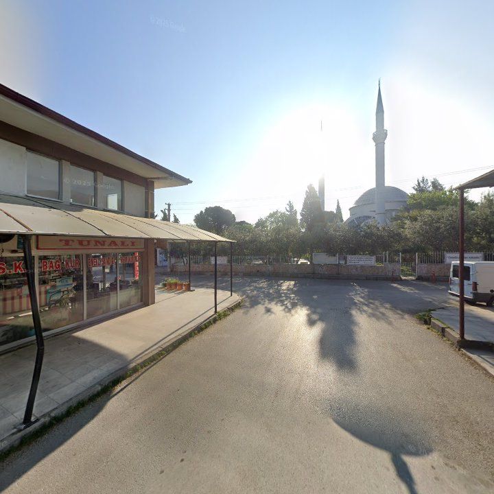 Fotoğraf 4