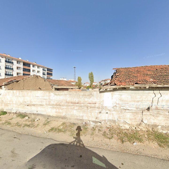 Fotoğraf 8