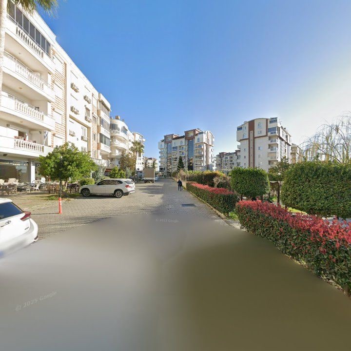 Fotoğraf 12