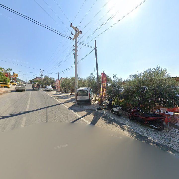 Fotoğraf 9