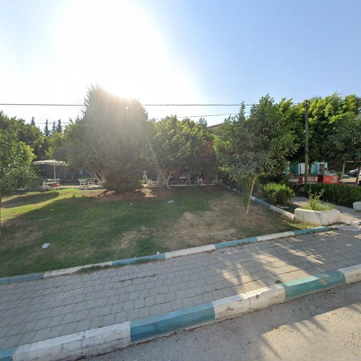 Fotoğraf 7