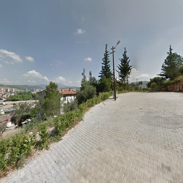 Fotoğraf 7