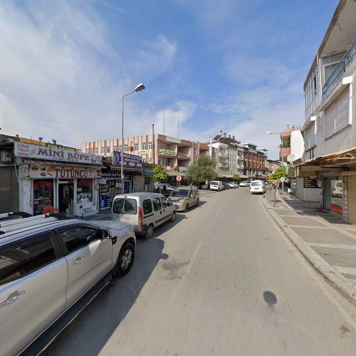 Fotoğraf 7
