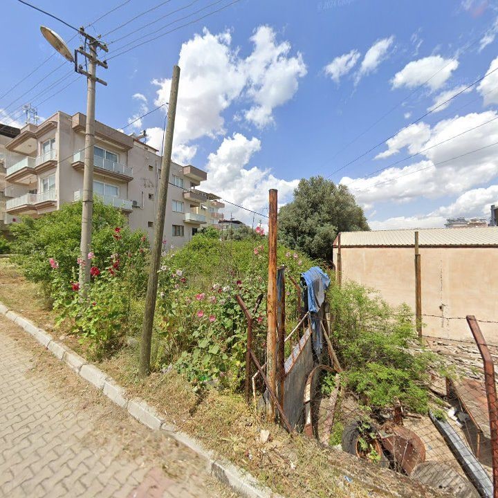 Fotoğraf 6