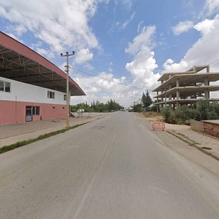 Fotoğraf 8