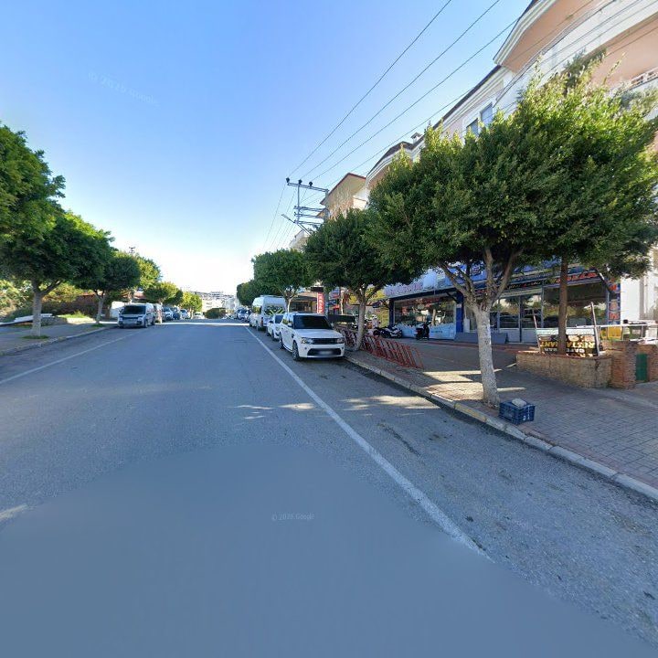 Fotoğraf 12