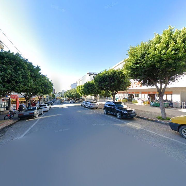 Fotoğraf 10