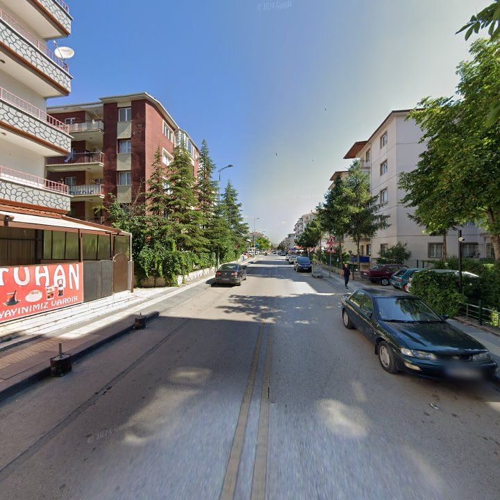 Fotoğraf 11