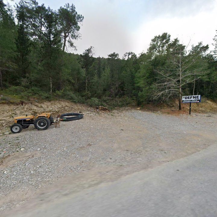 Fotoğraf 11