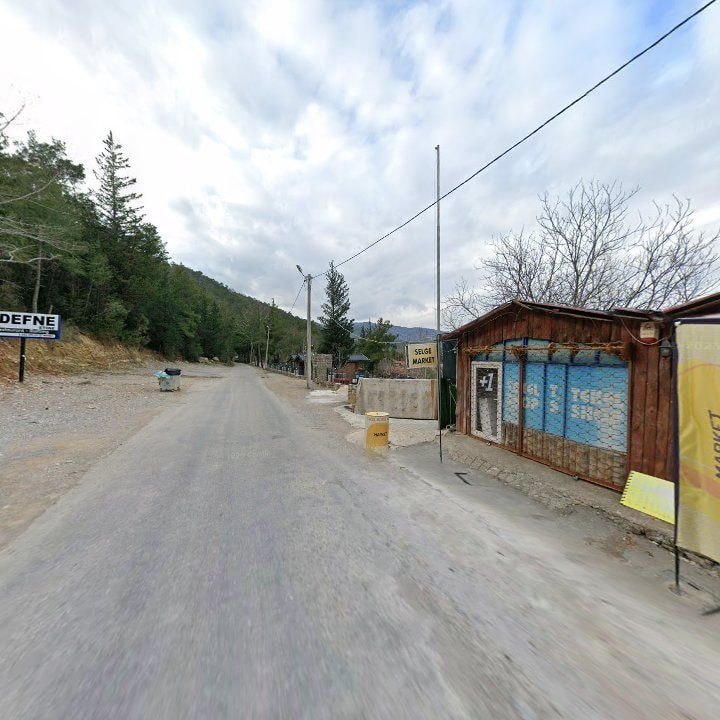 Fotoğraf 12