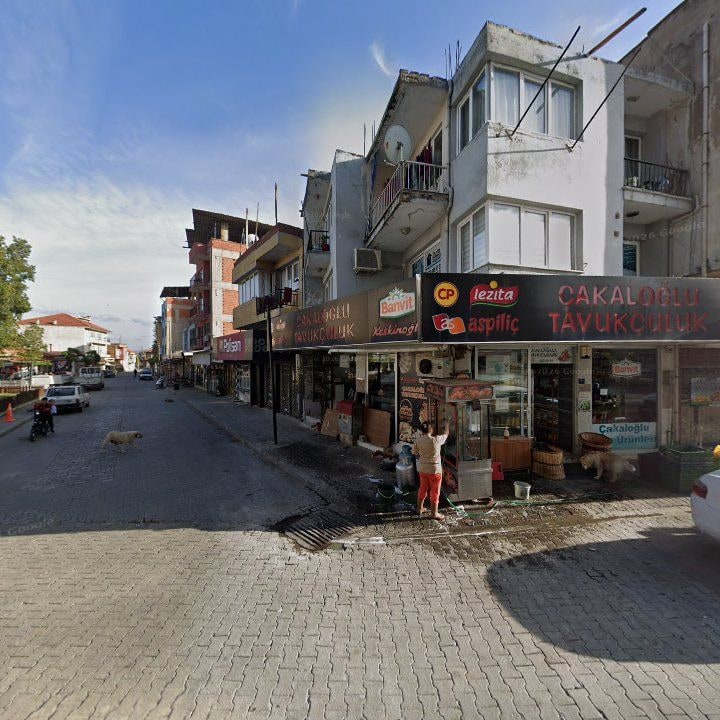 Fotoğraf 11