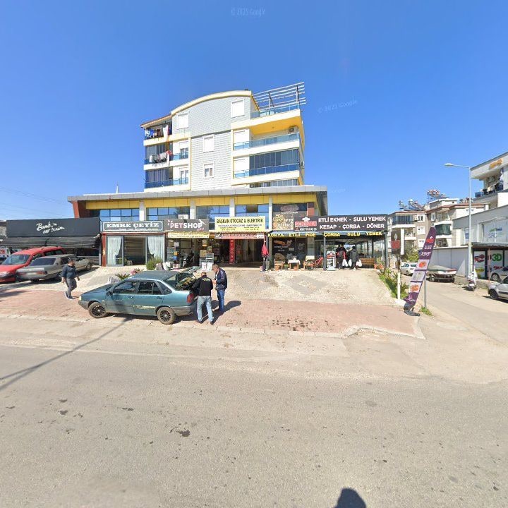 Fotoğraf 7