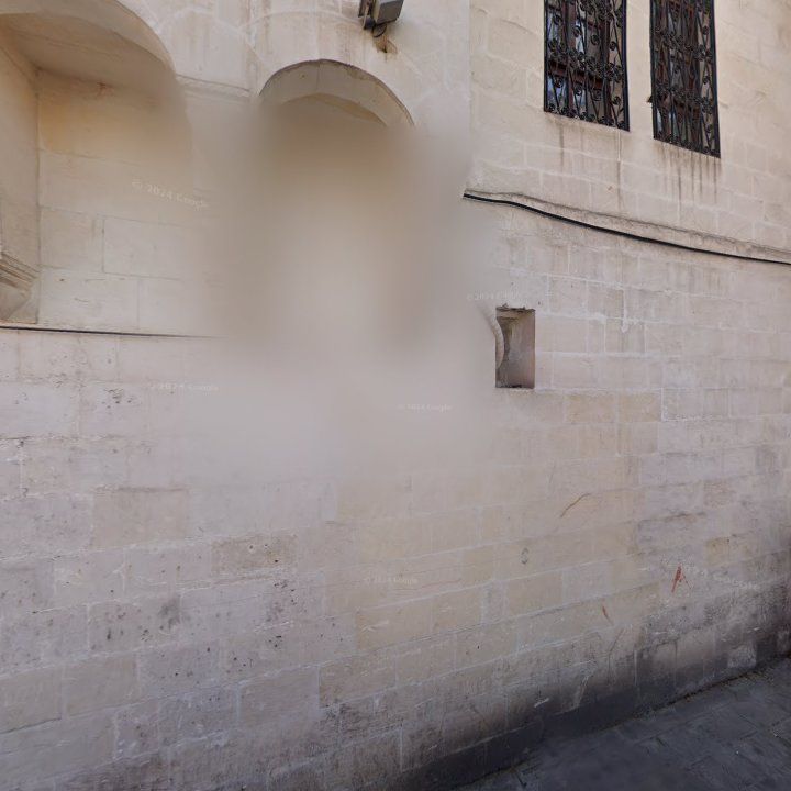 Fotoğraf 11