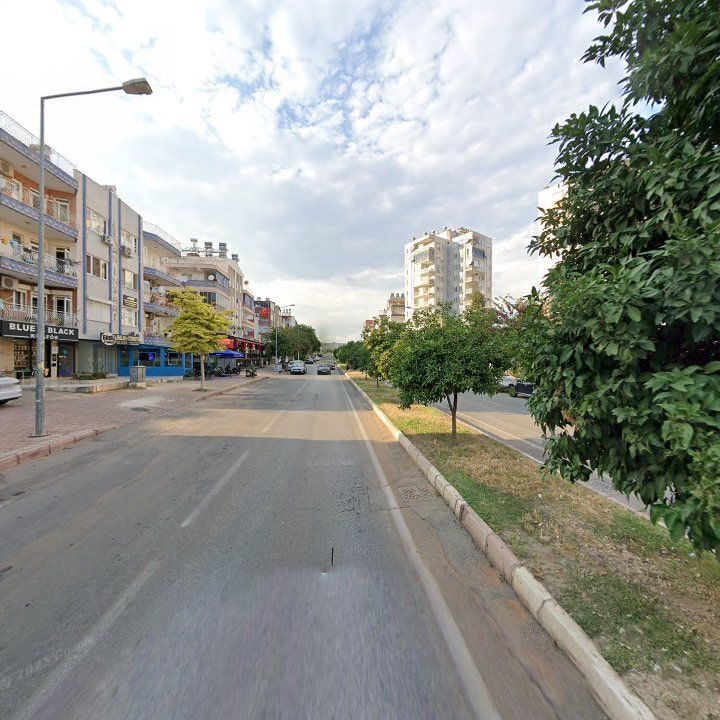 Fotoğraf 6