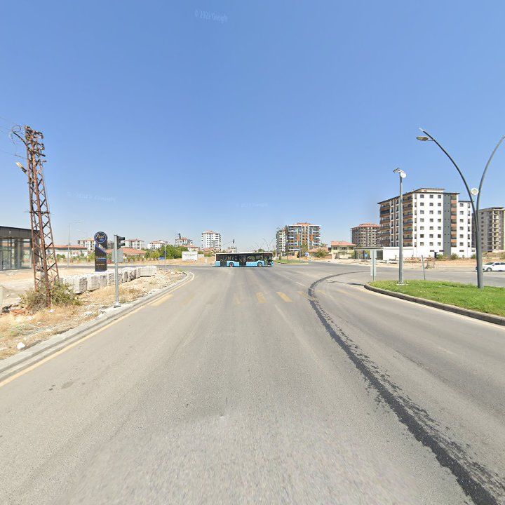 Fotoğraf 8