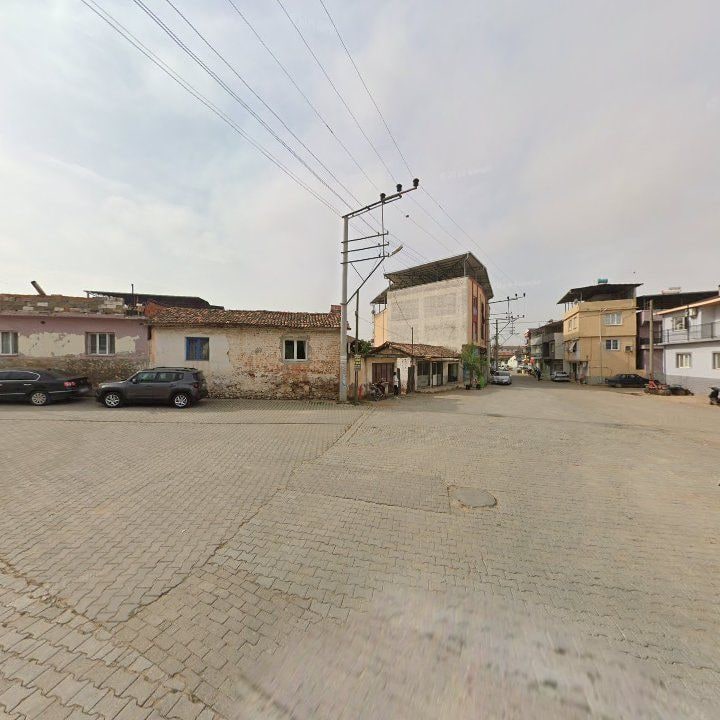 Fotoğraf 6